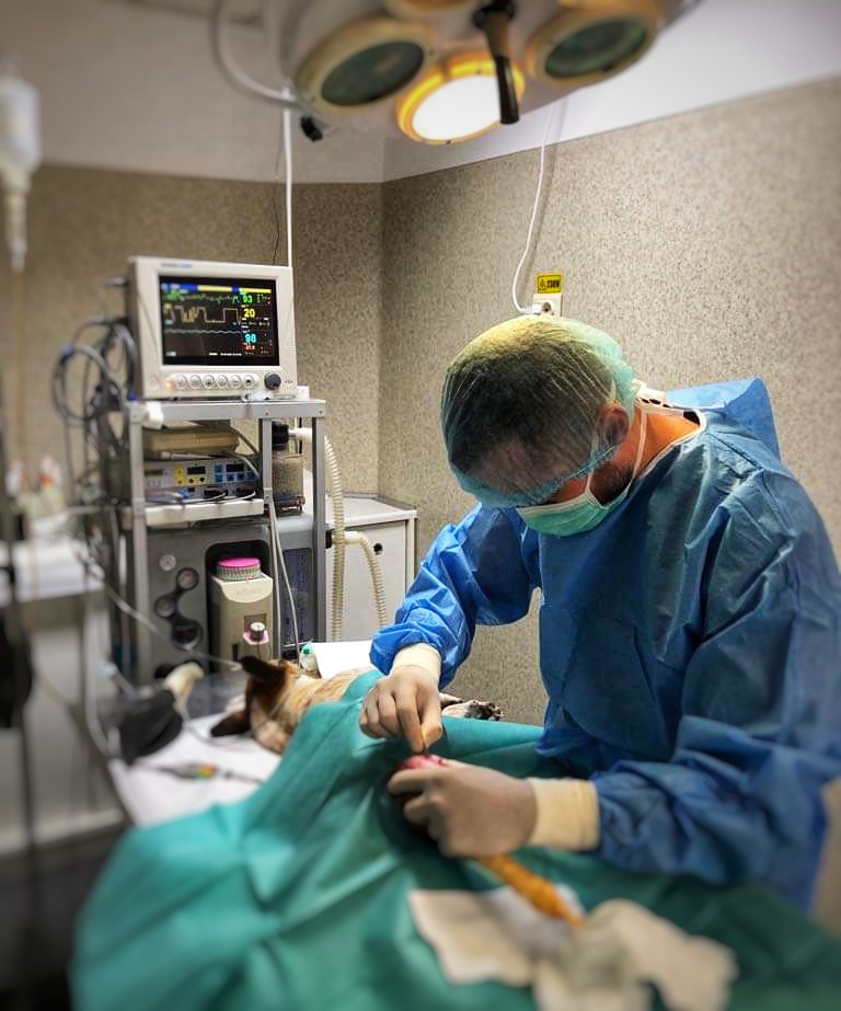 Fotografie TRAUMA SURGERY VET SRL 3