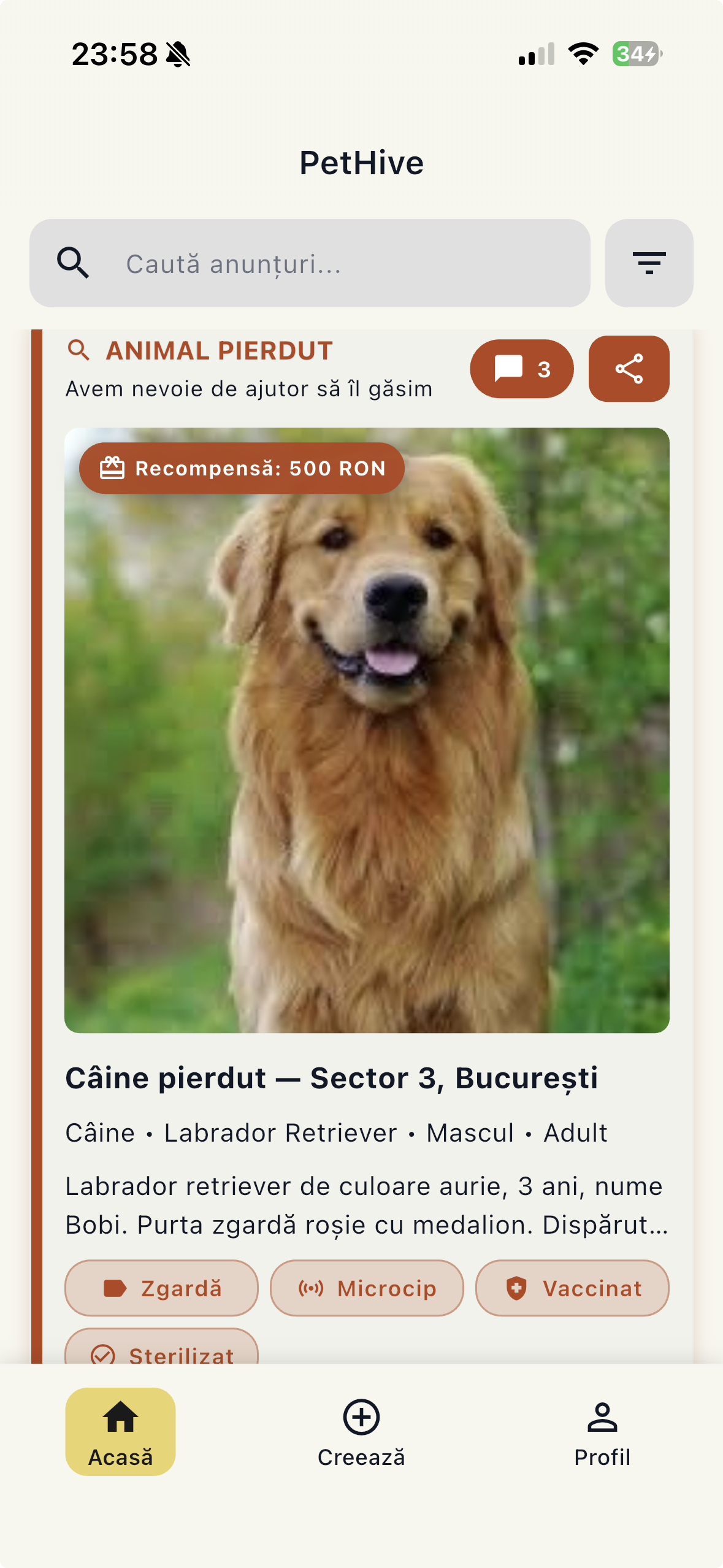 Captură aplicație PetHive: listă anunțuri câini pierduți, găsiți și adopție pe hartă